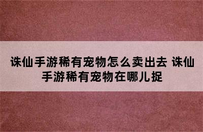 诛仙手游稀有宠物怎么卖出去 诛仙手游稀有宠物在哪儿捉